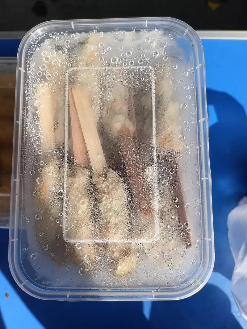 Sempol ayam beku bertusuk bambu dalam wadah plastik bening yang dijual di Car Free Day Jombang
