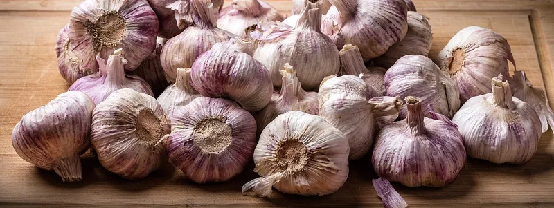 Tumpukan bonggol bawang putih utuh berkulit ungu muda di atas talenan kayu