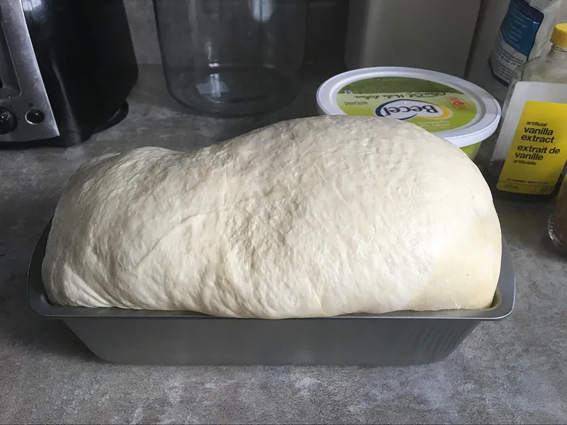 Adonan roti beragi putih mengembang tinggi melewati bibir loyang setelah diistirahatkan
