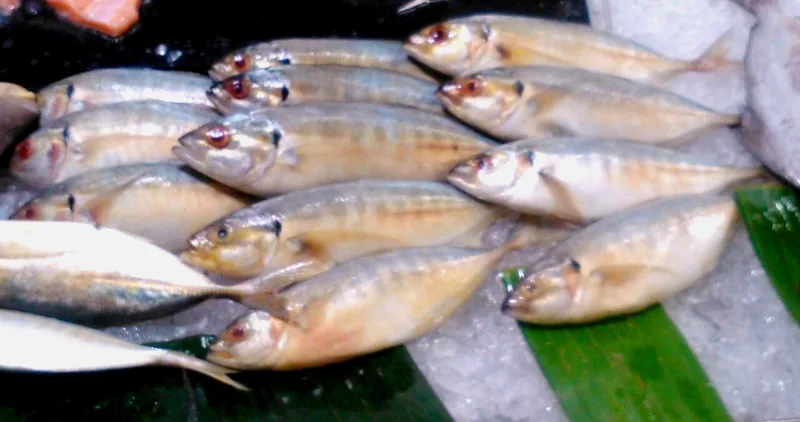 Ikan kembung segar di lapak pasar untuk bahan ikan bumbu kuning