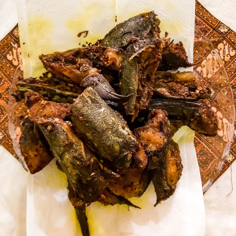 Potongan lele goreng garing ditiriskan di atas tisu dapur dalam piring kaca