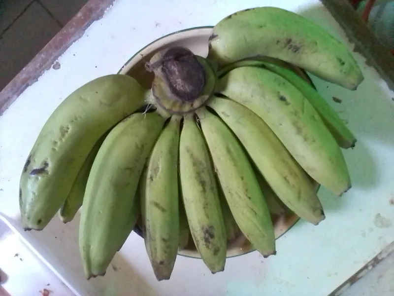 Sesisir pisang ambon berkulit hijau kekuningan di atas piring enamel