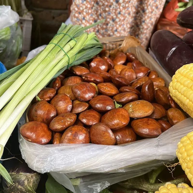 Tumpukan jengkol mentah berkulit cokelat mengilap dijual di pasar bersama daun bawang dan jagung
