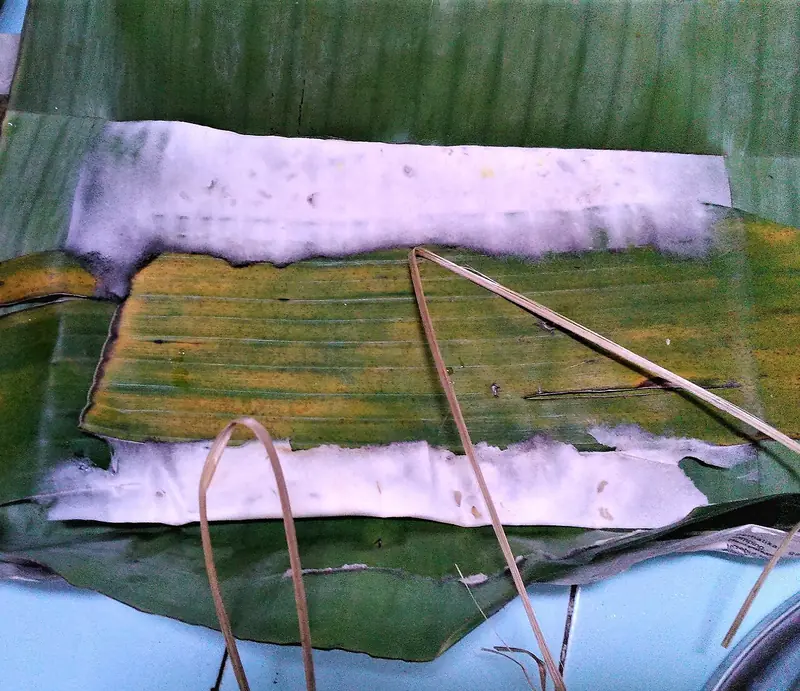 Lembaran tempe tipis untuk tempe mendoan dibuka dari bungkus daun pisang